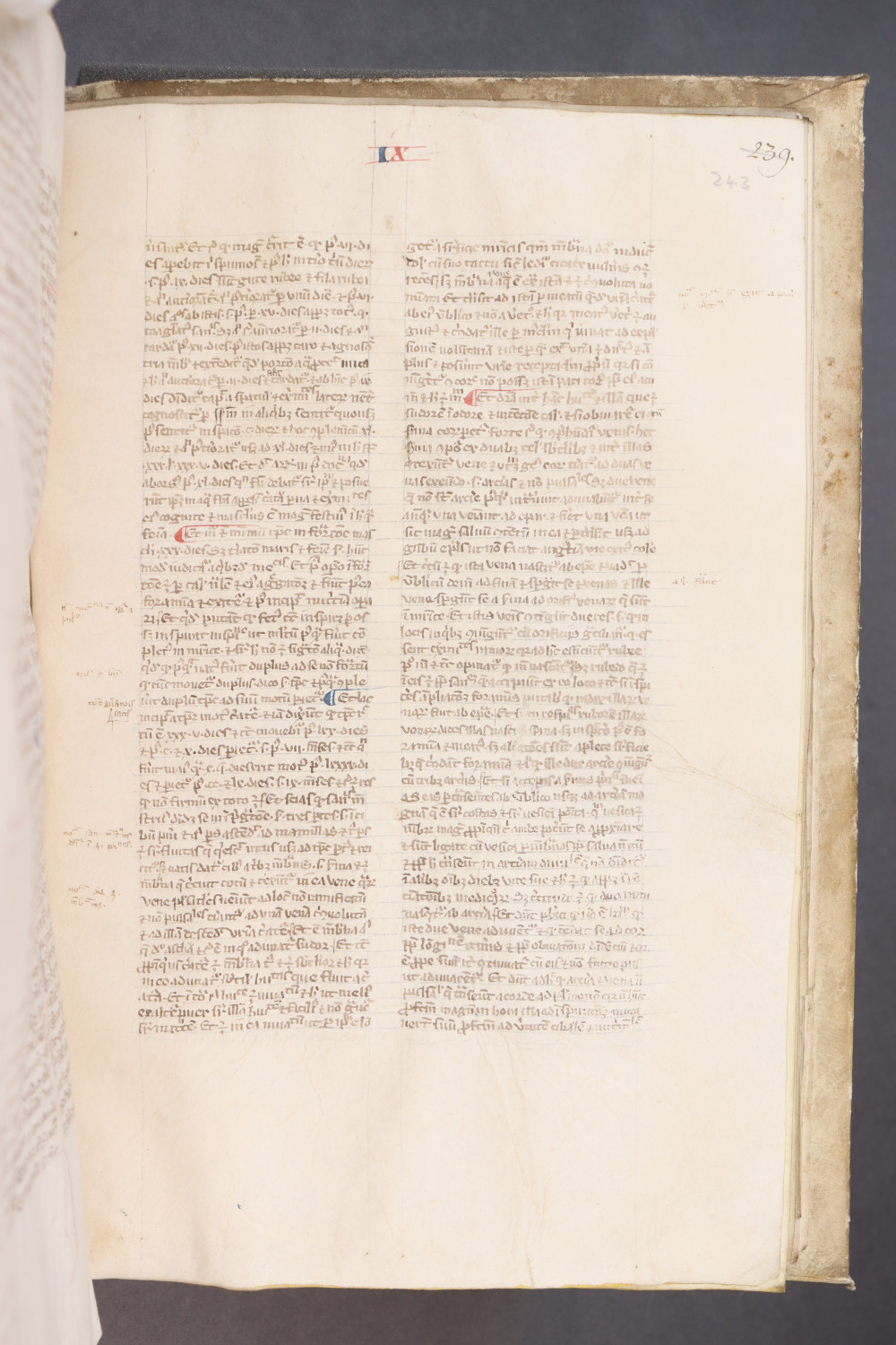 Folio 243 recto