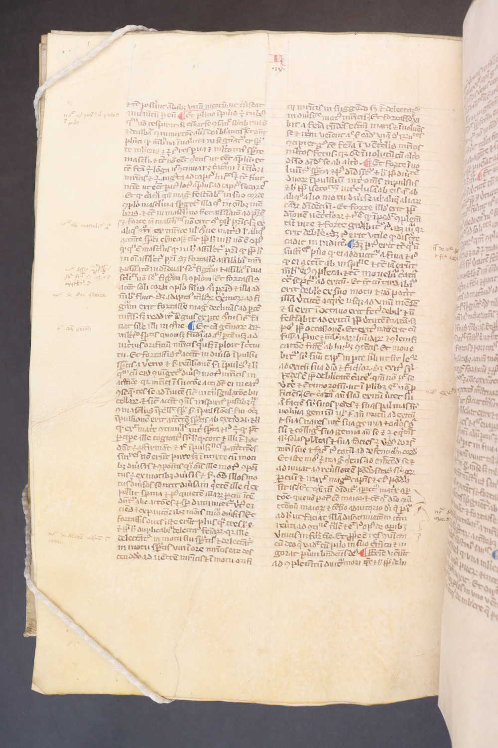 Folio 243 verso