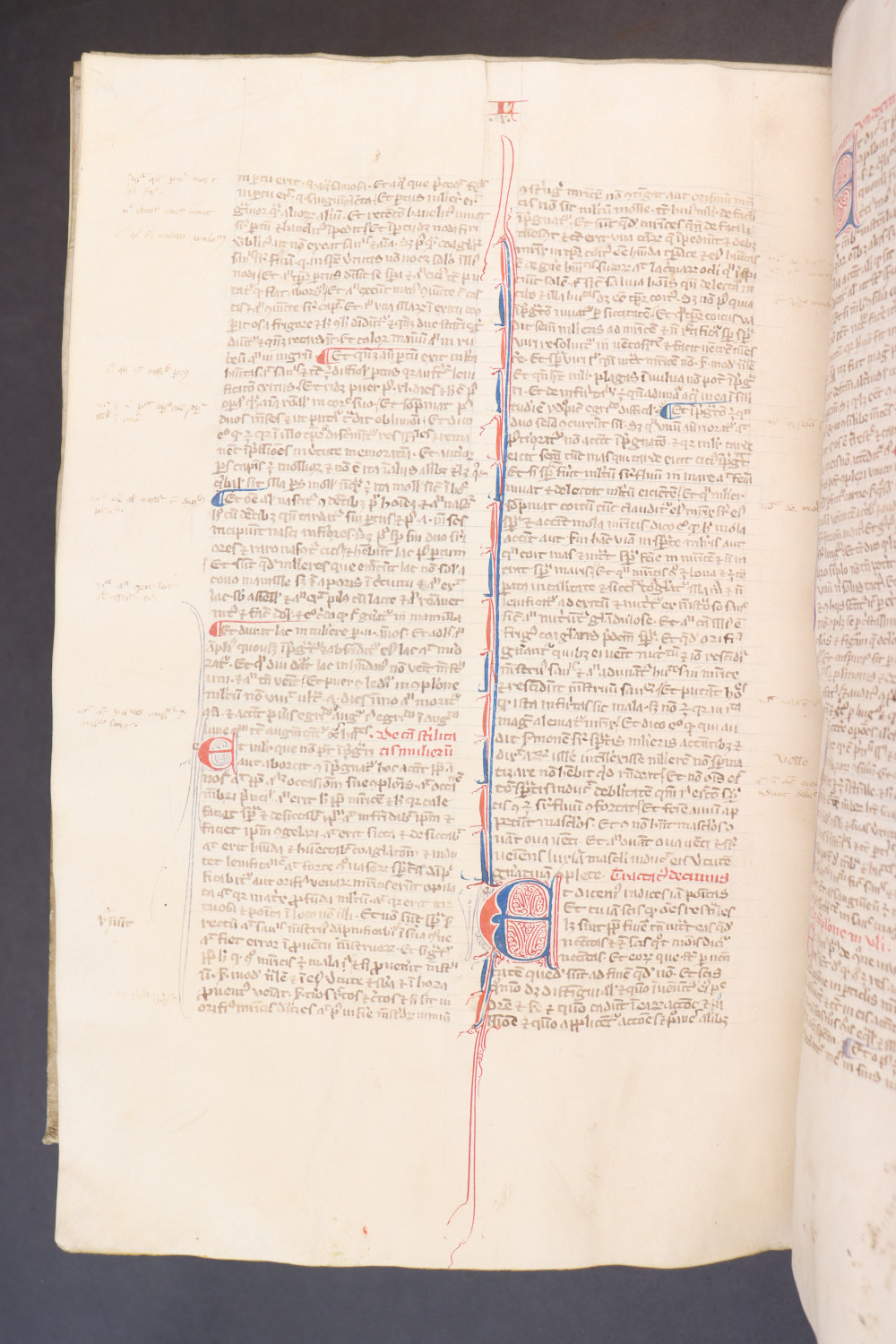 Folio 244 verso