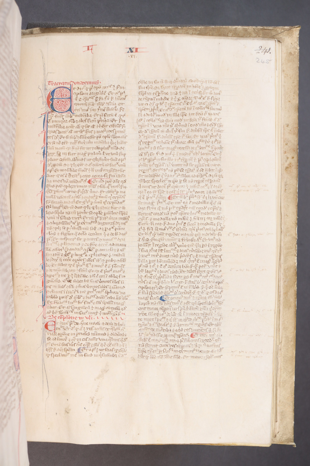 Folio 245 recto