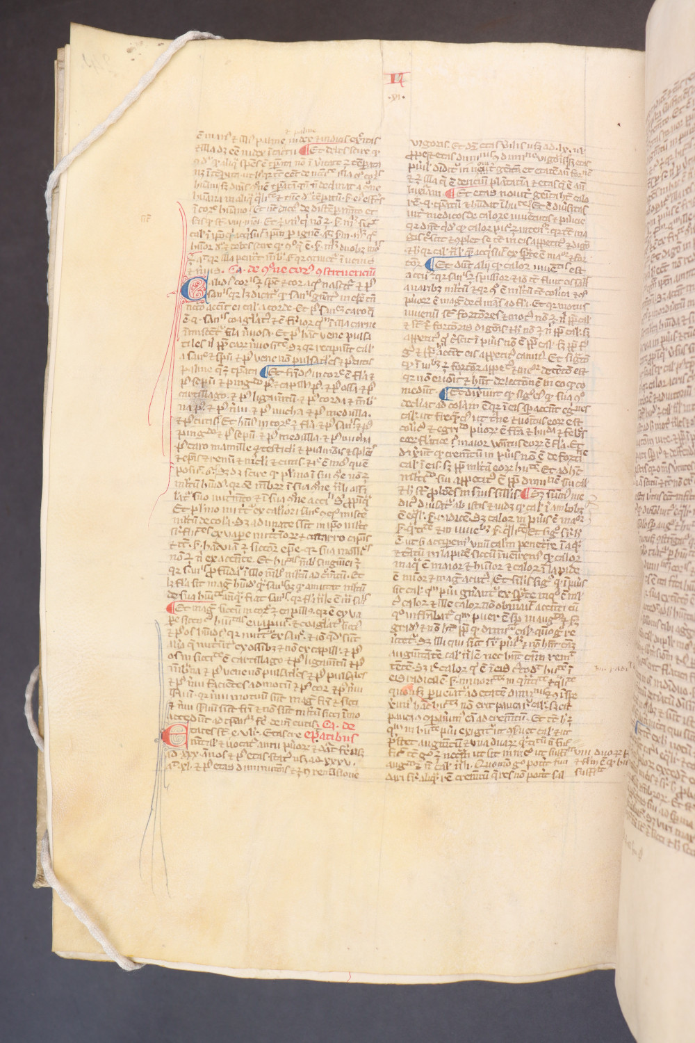 Folio 245 verso