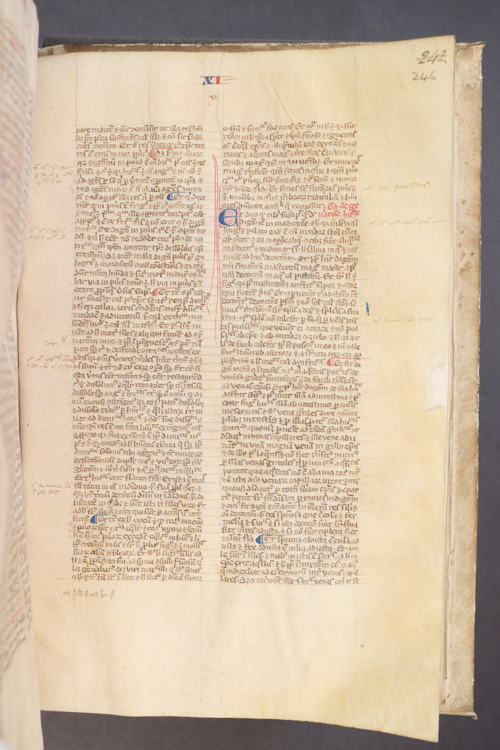 Folio 246 recto