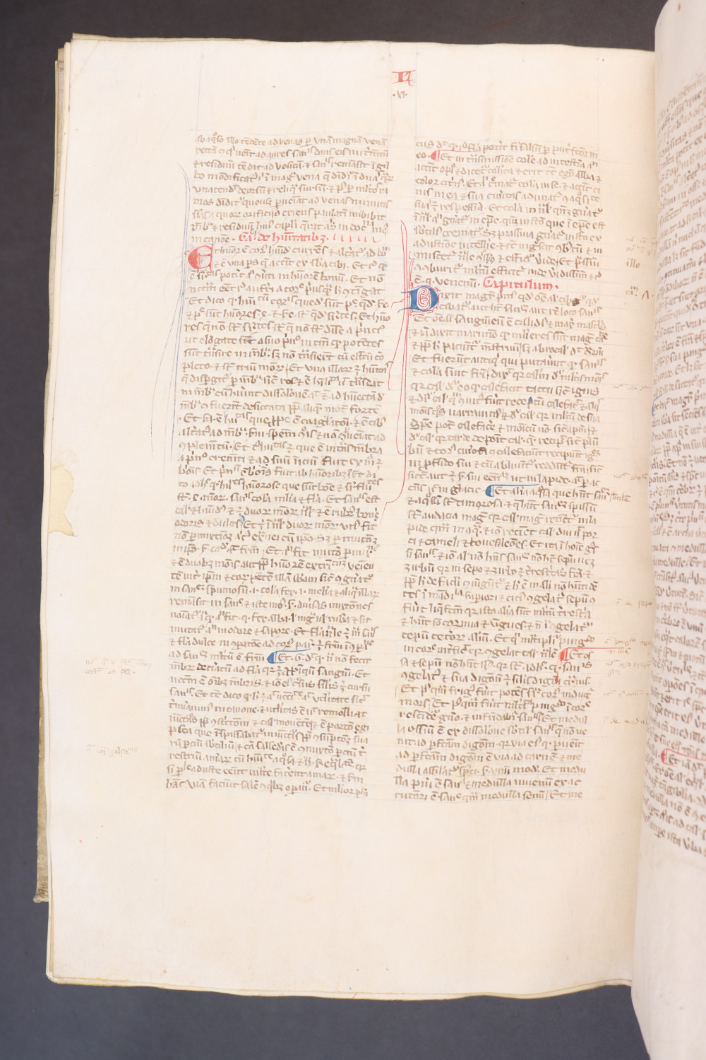 Folio 246 verso