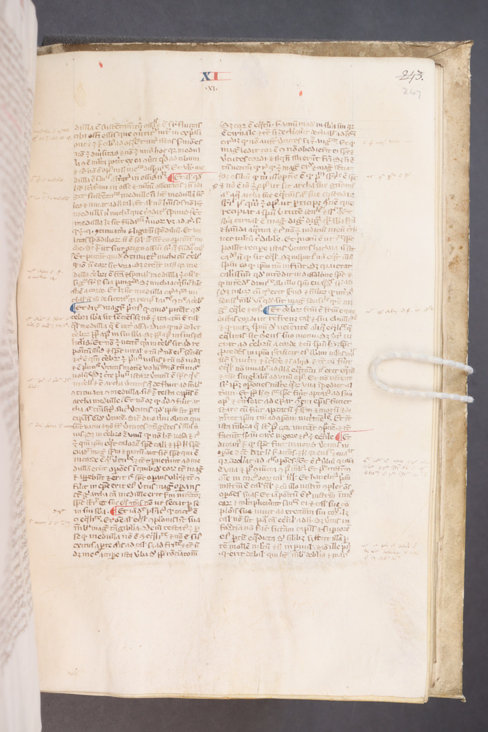 Folio 247 recto