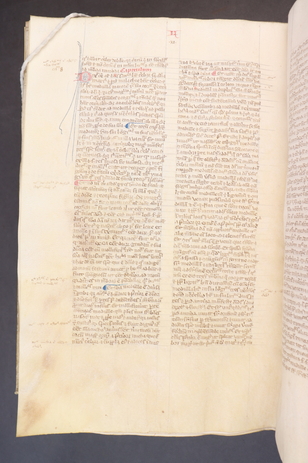 Folio 247 verso