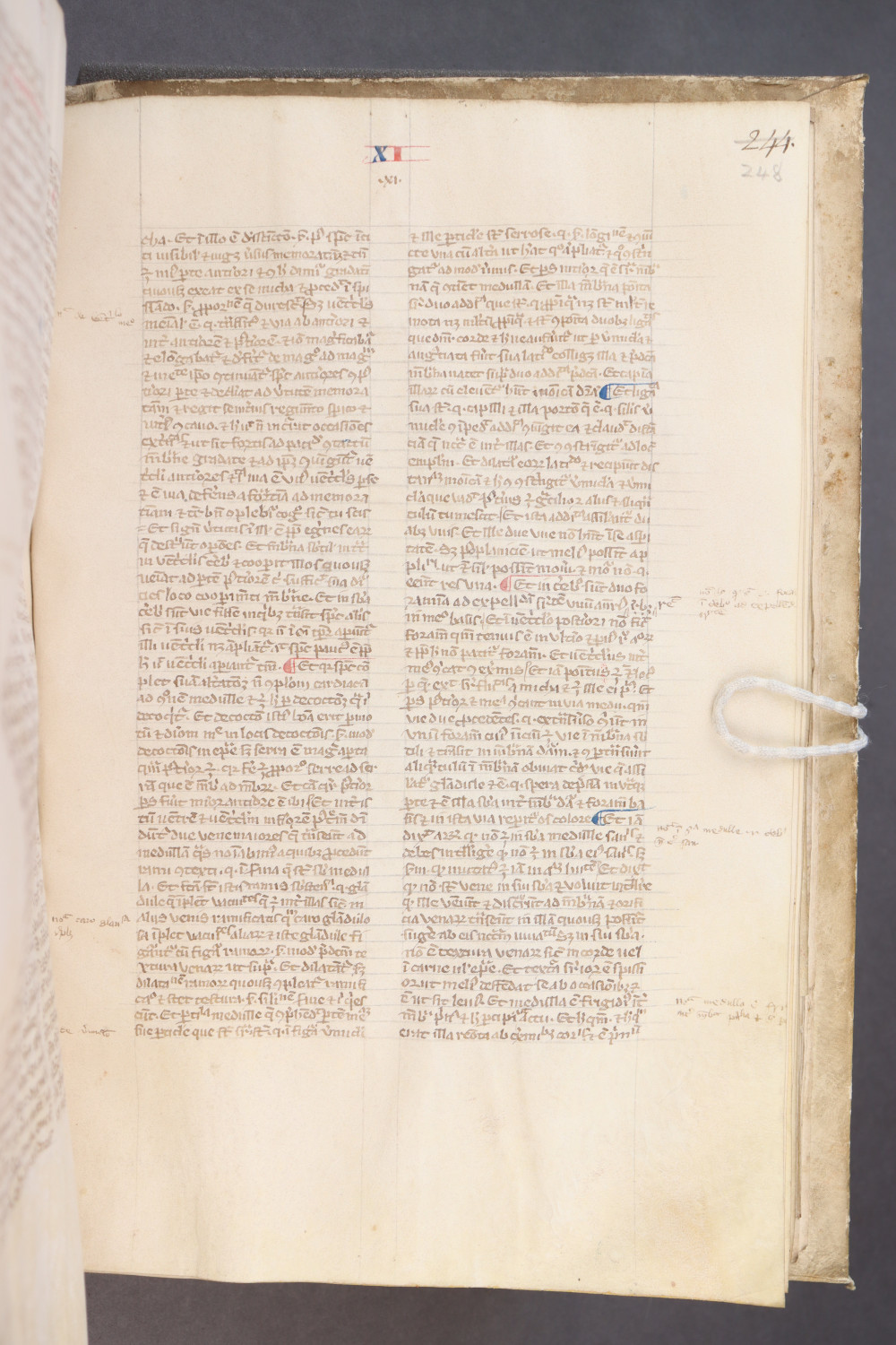 Folio 248 recto