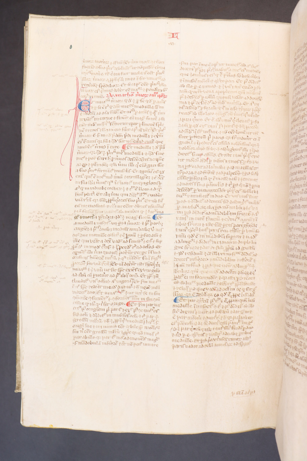 Folio 248 verso