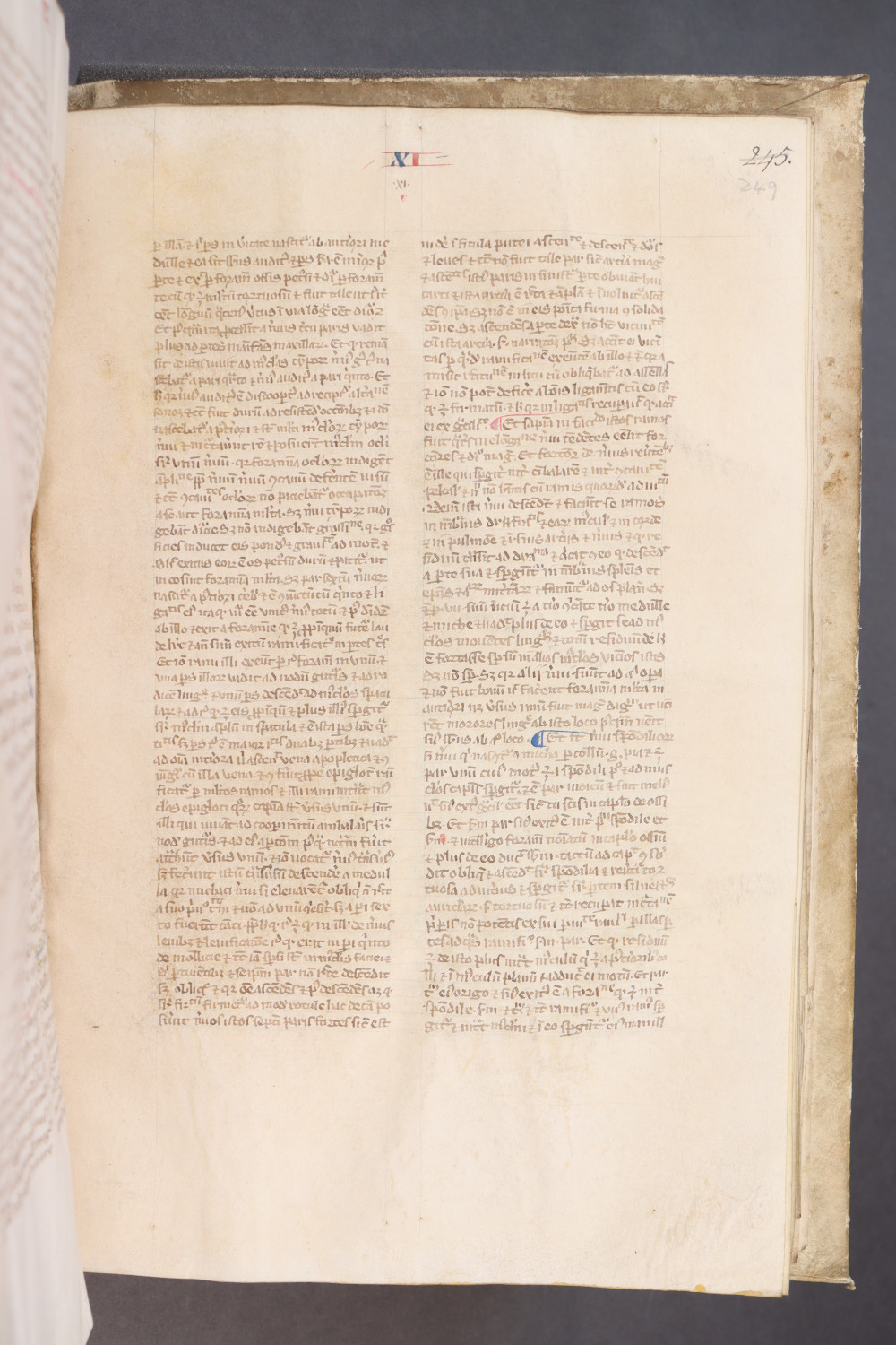 Folio 249 recto