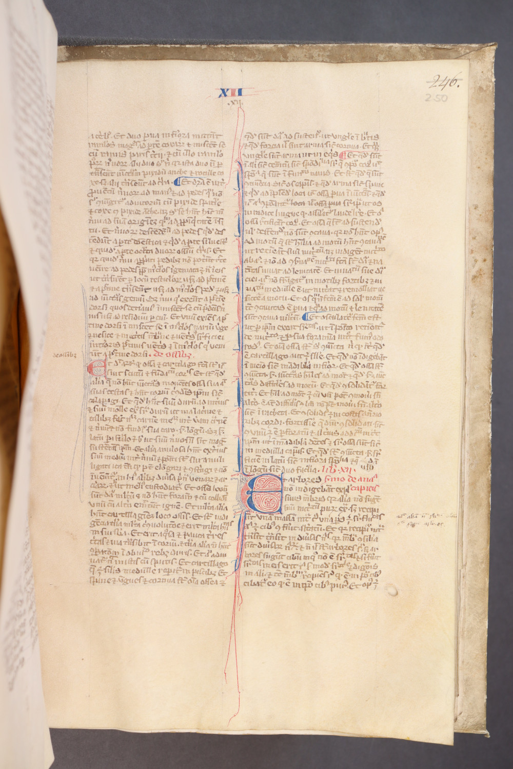 Folio 250 recto