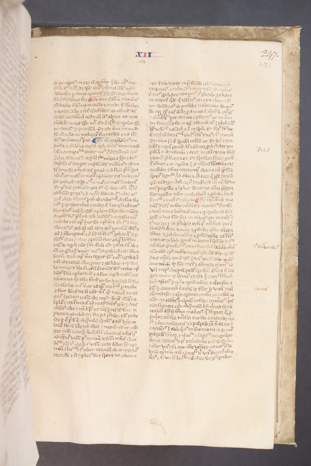 Folio 251 recto