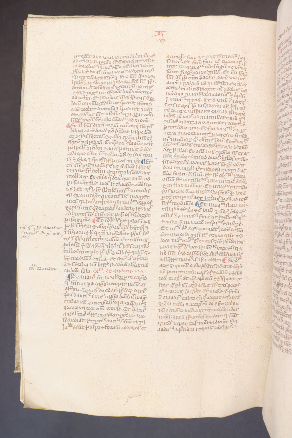 Folio 251 verso