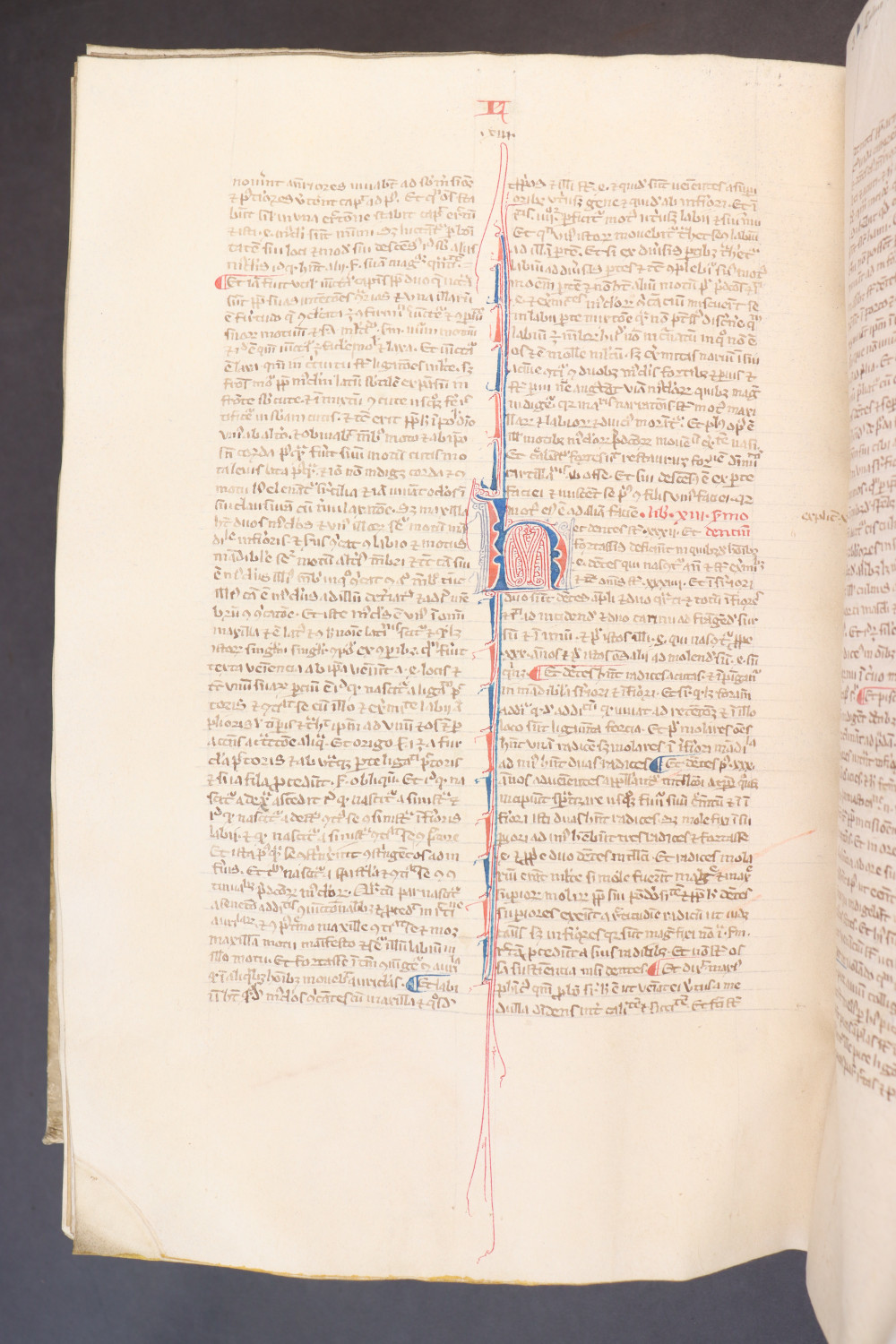 Folio 252 verso