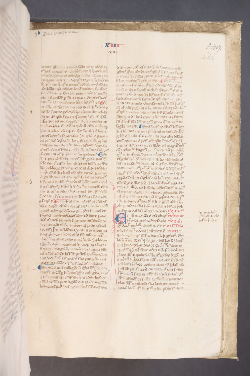 Folio 253 recto