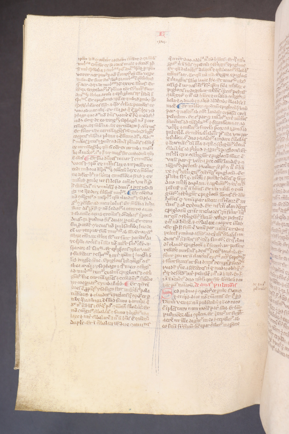 Folio 253 verso
