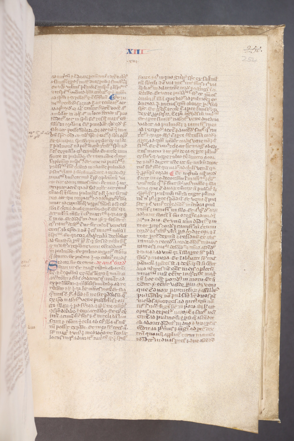 Folio 254 recto