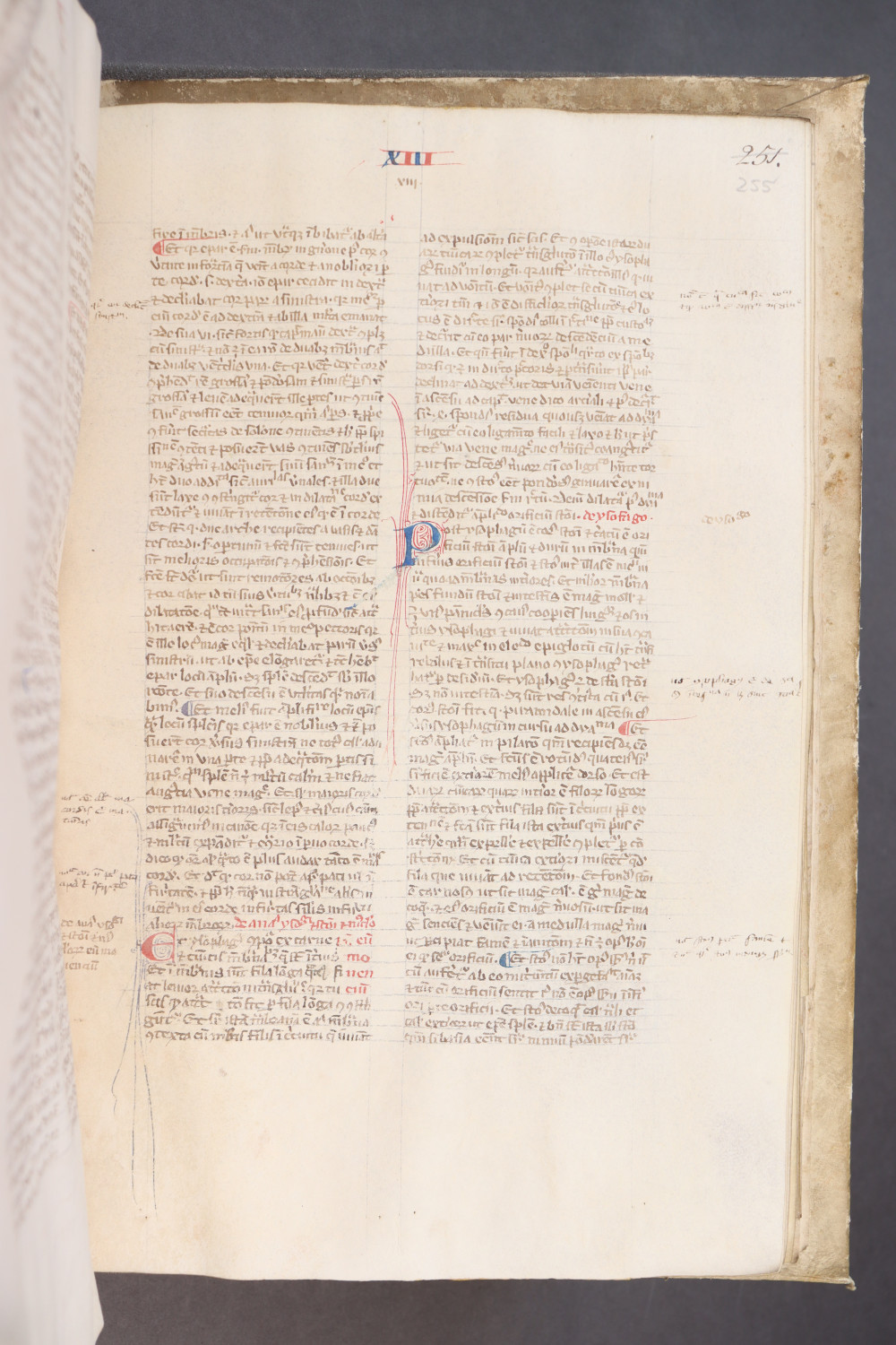 Folio 255 recto