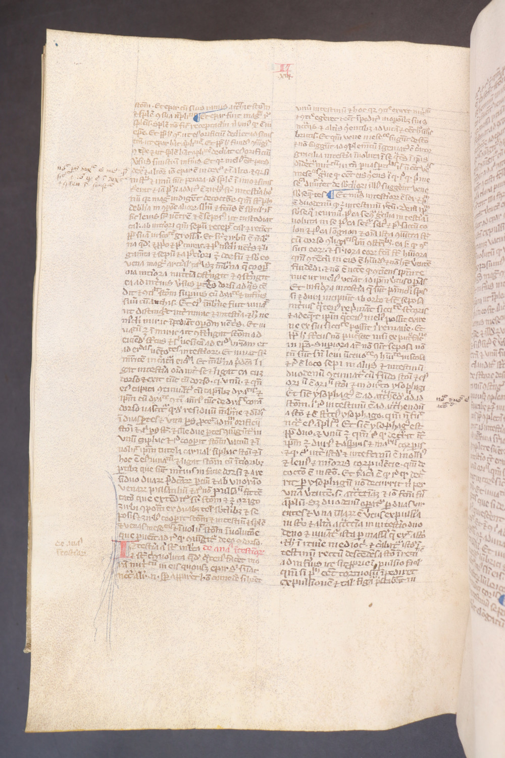 Folio 255 verso
