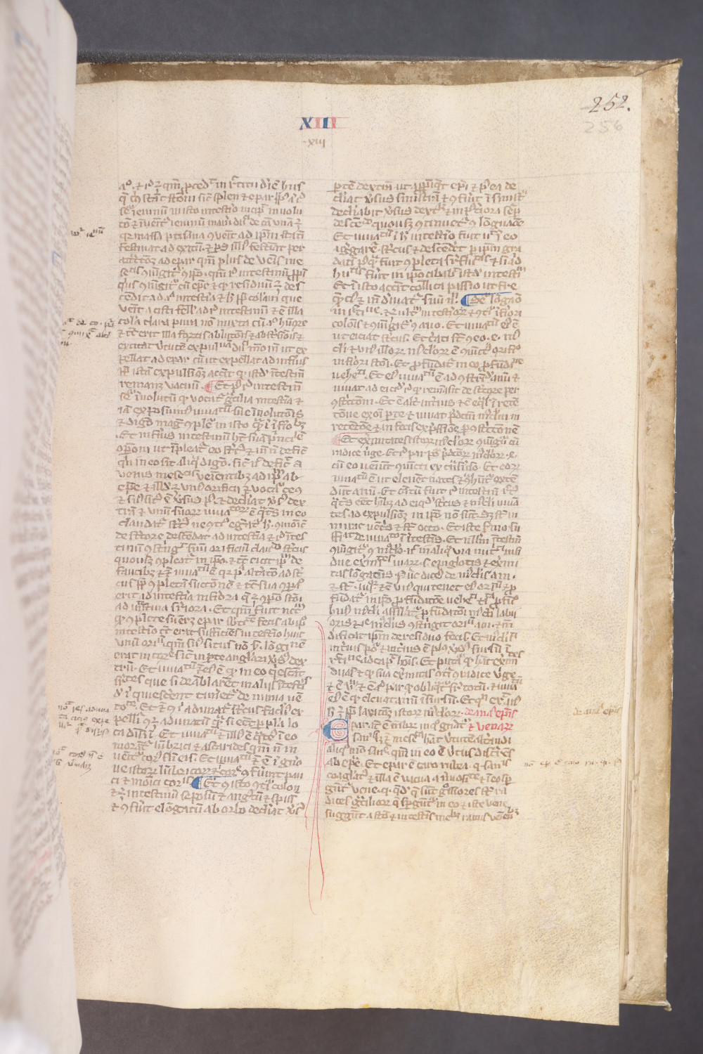 Folio 256 recto