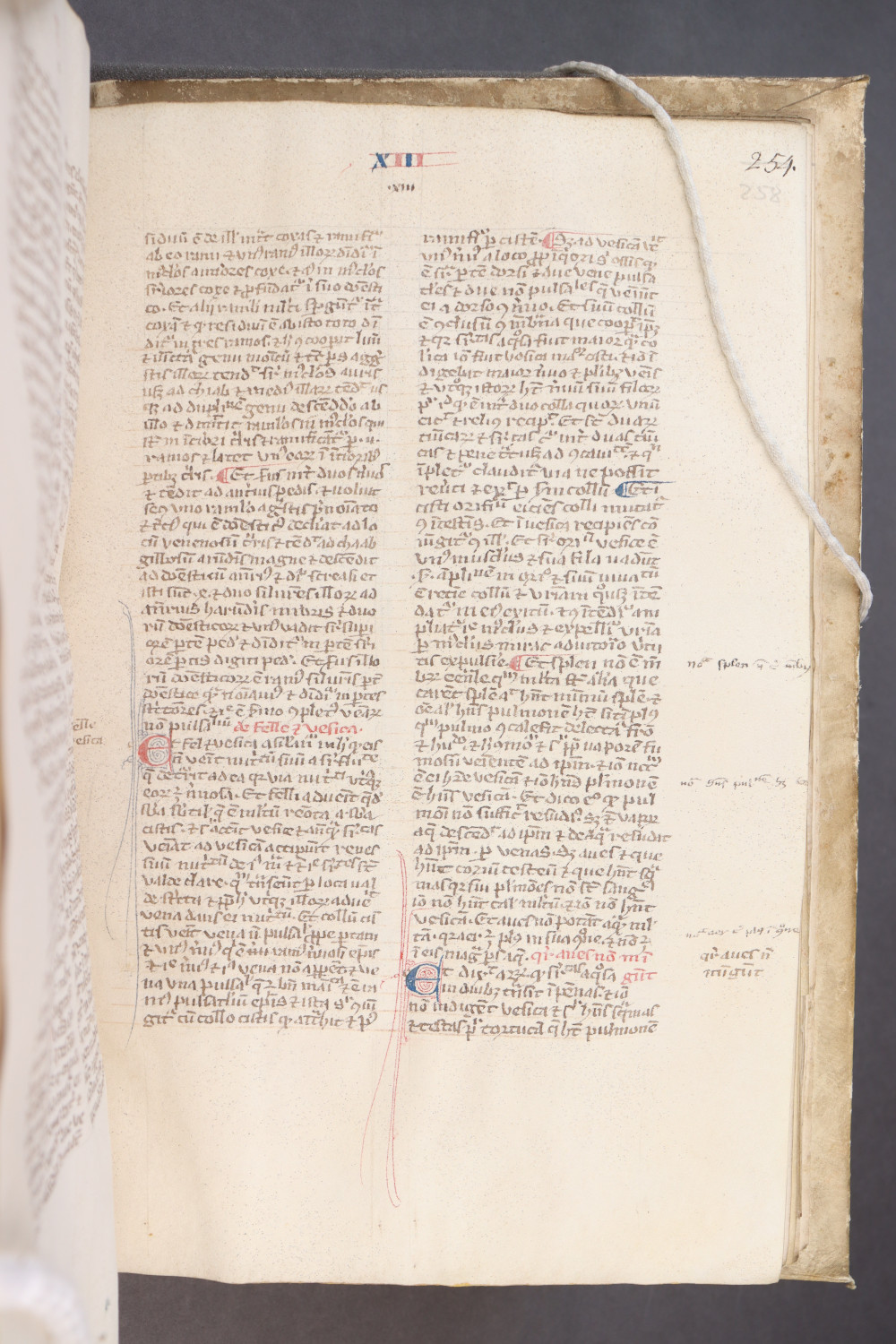 Folio 258 recto