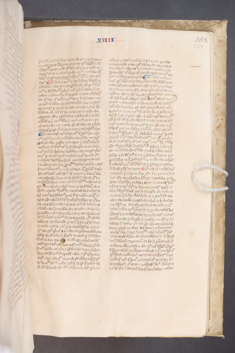 Folio 259 recto