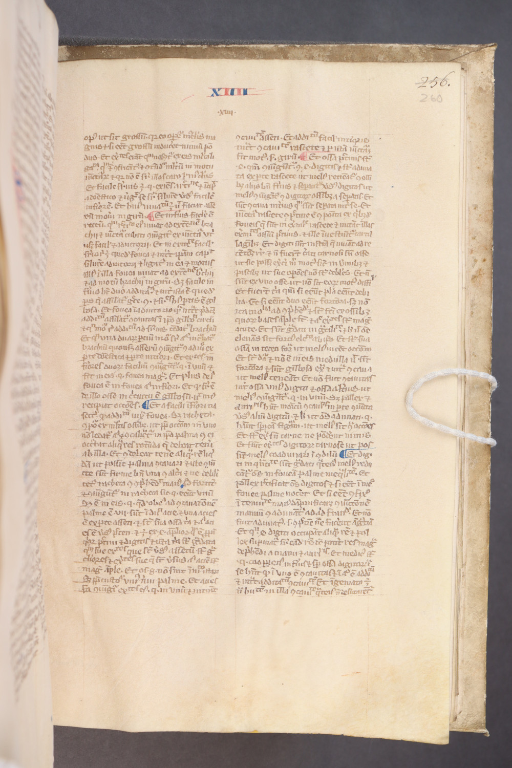 Folio 260 recto