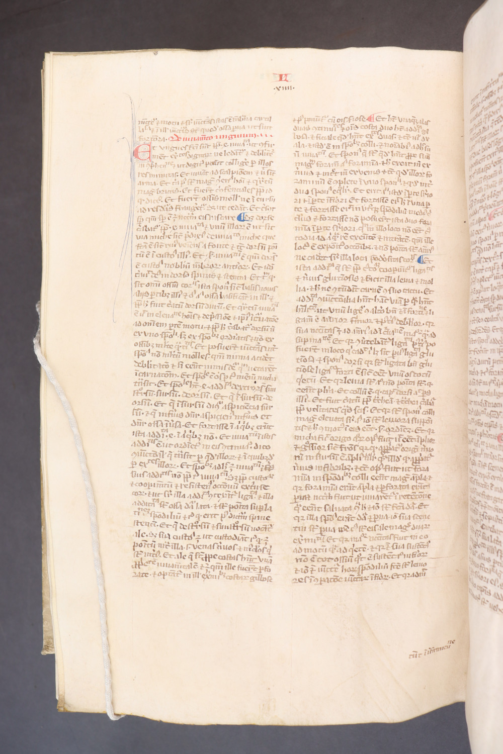 Folio 260 verso