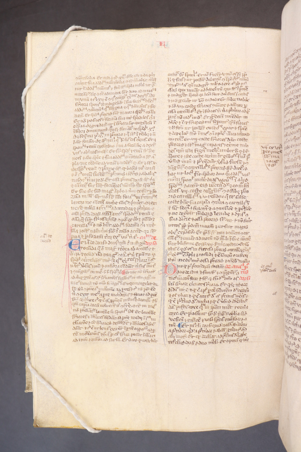Folio 261 verso