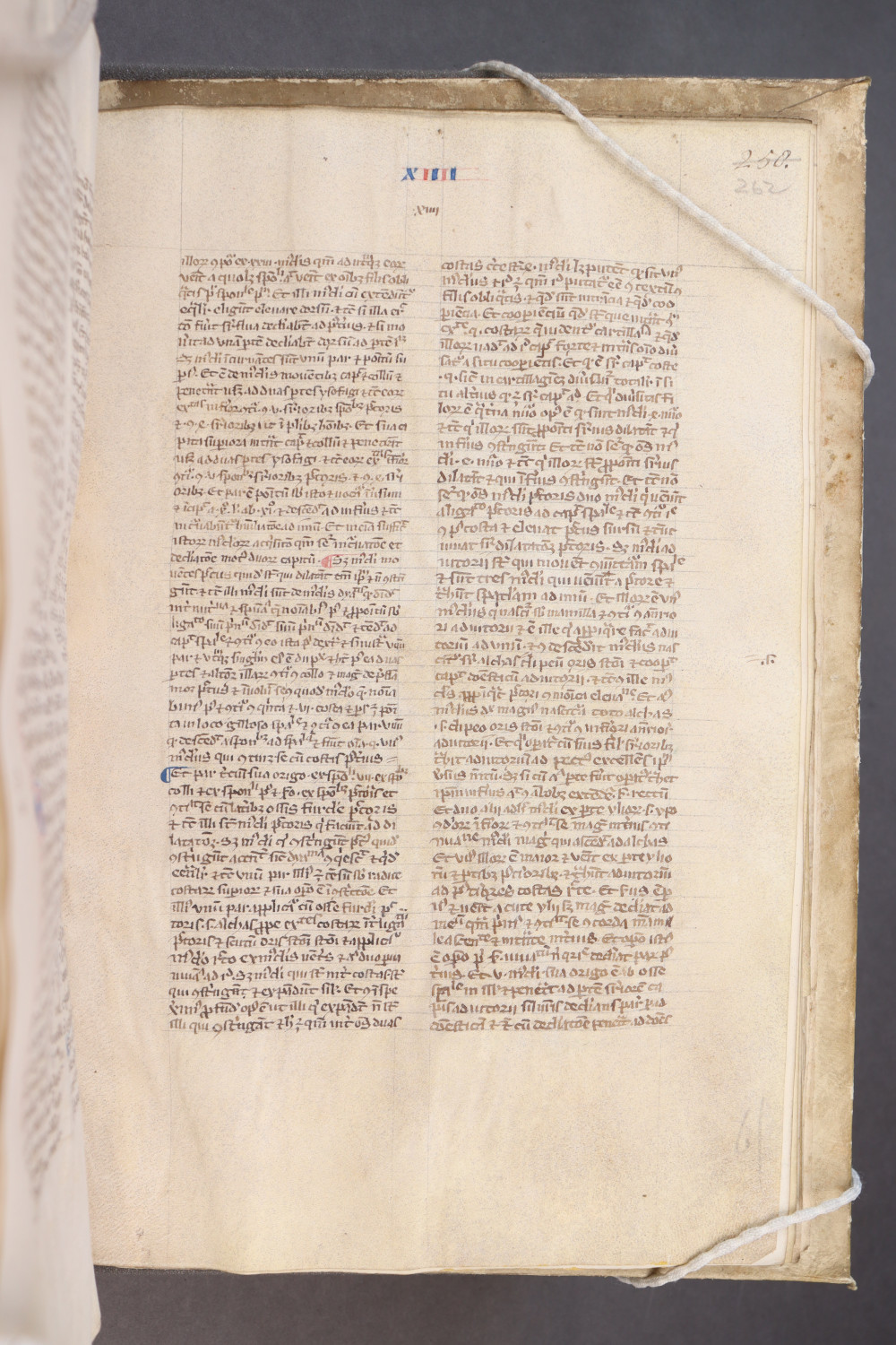 Folio 262 recto