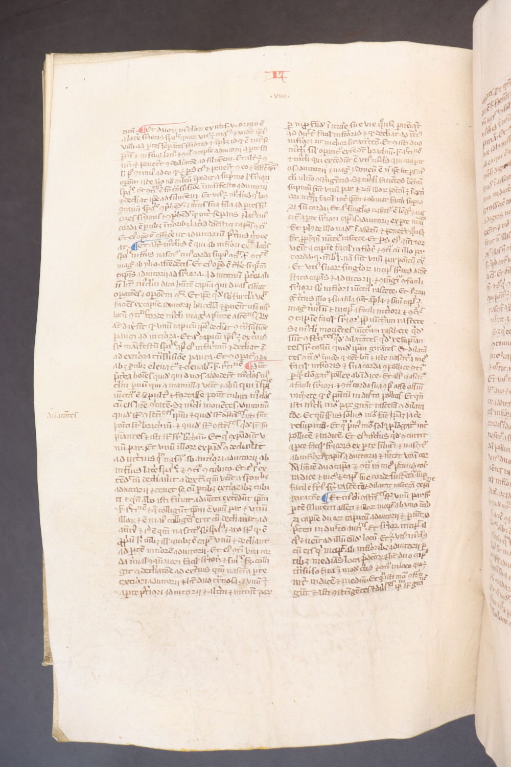 Folio 262 verso
