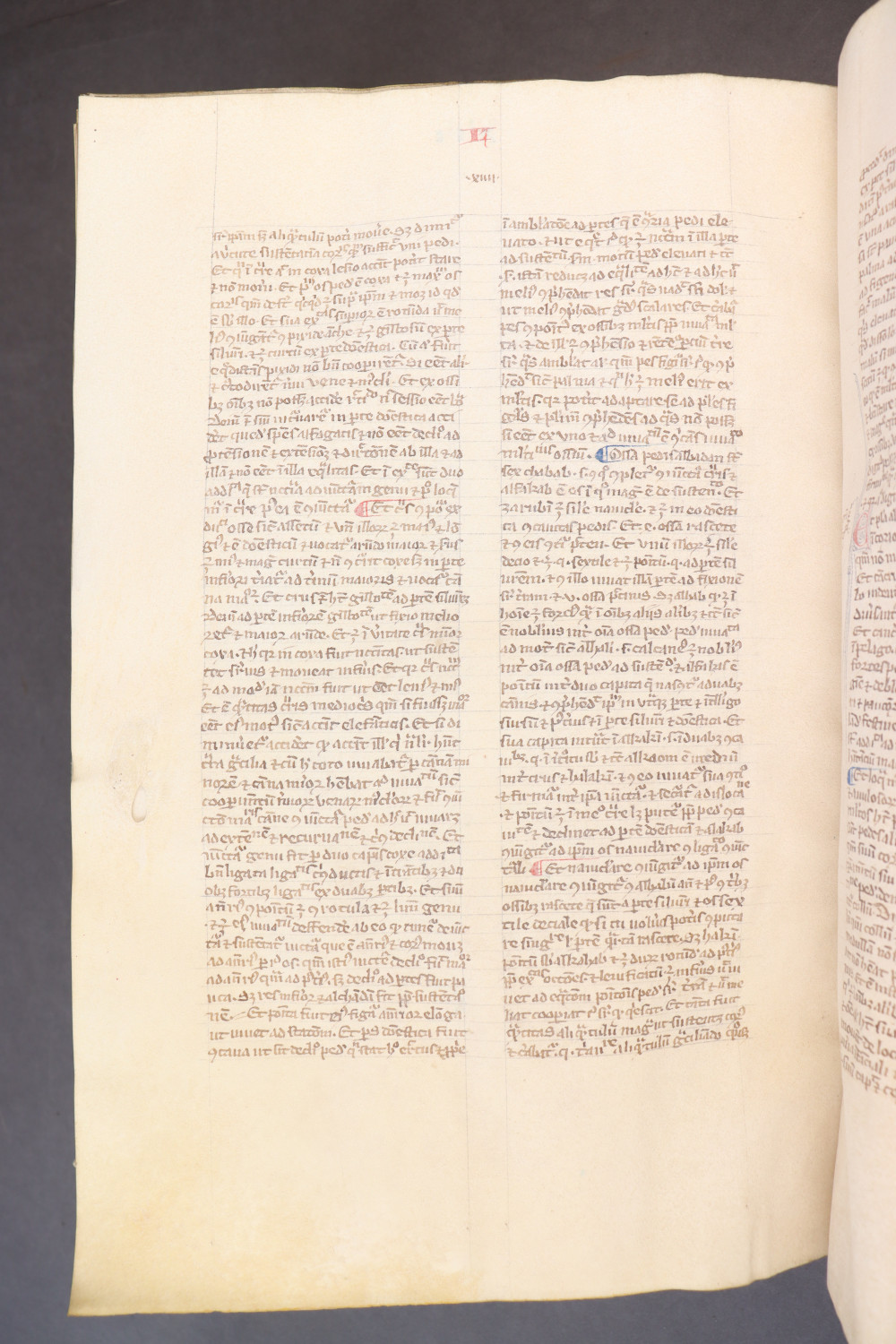 Folio 263 verso