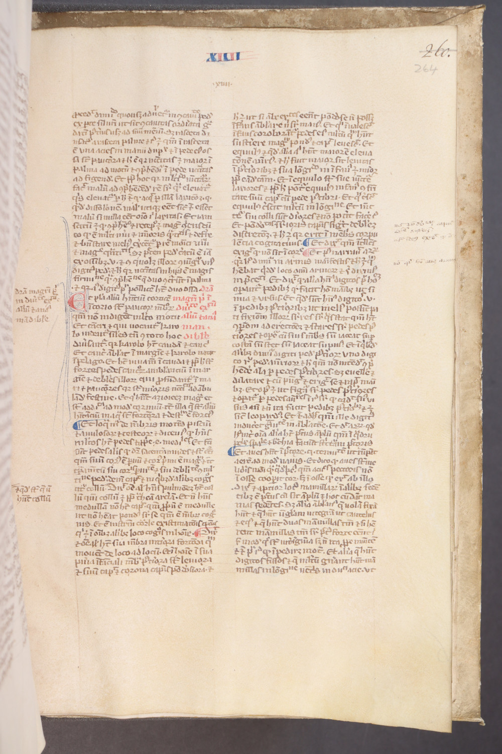 Folio 264 recto