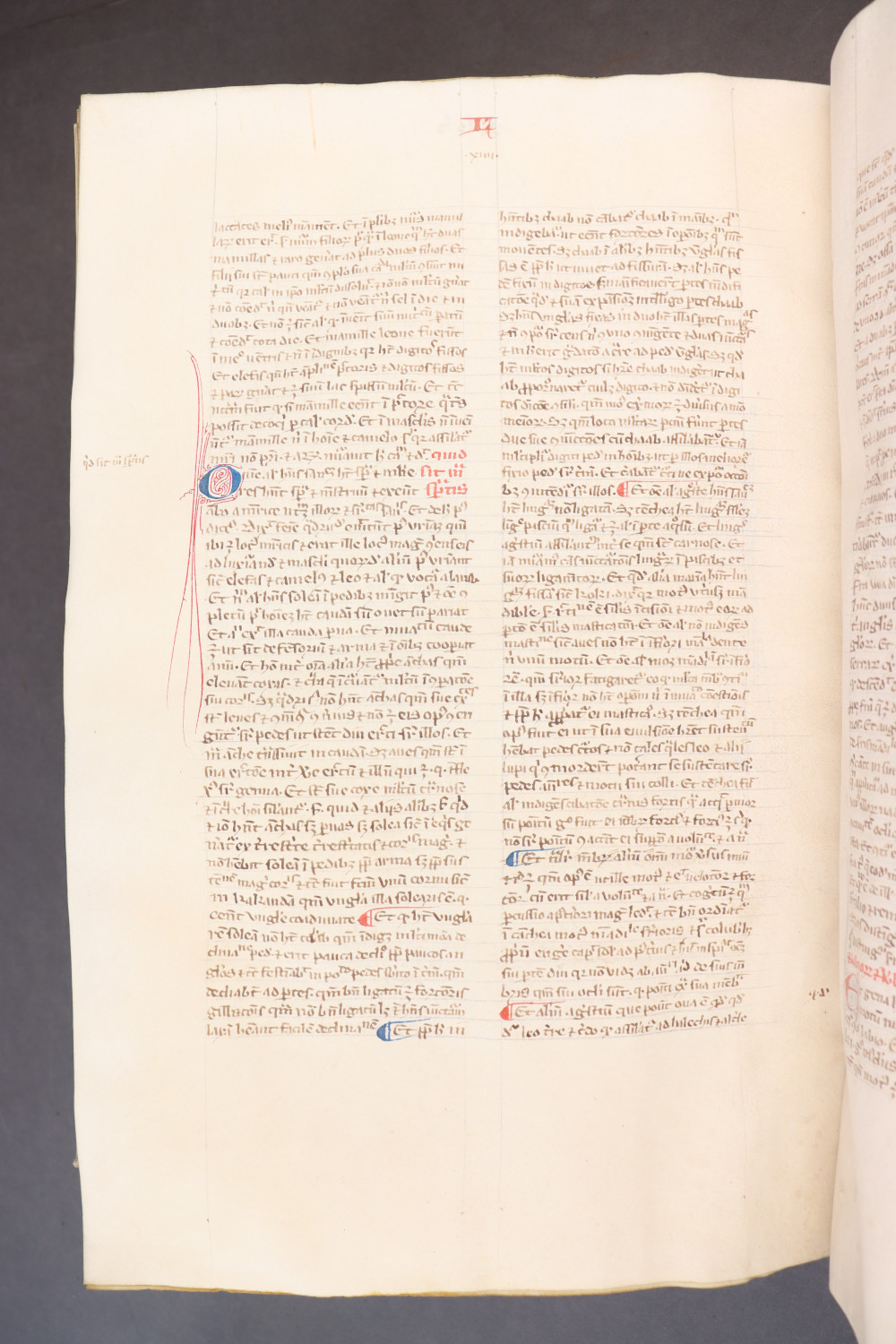 Folio 264 verso