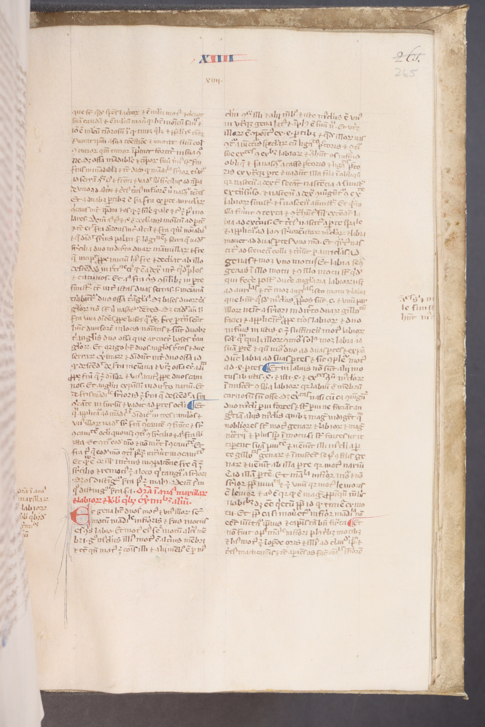 Folio 265 recto