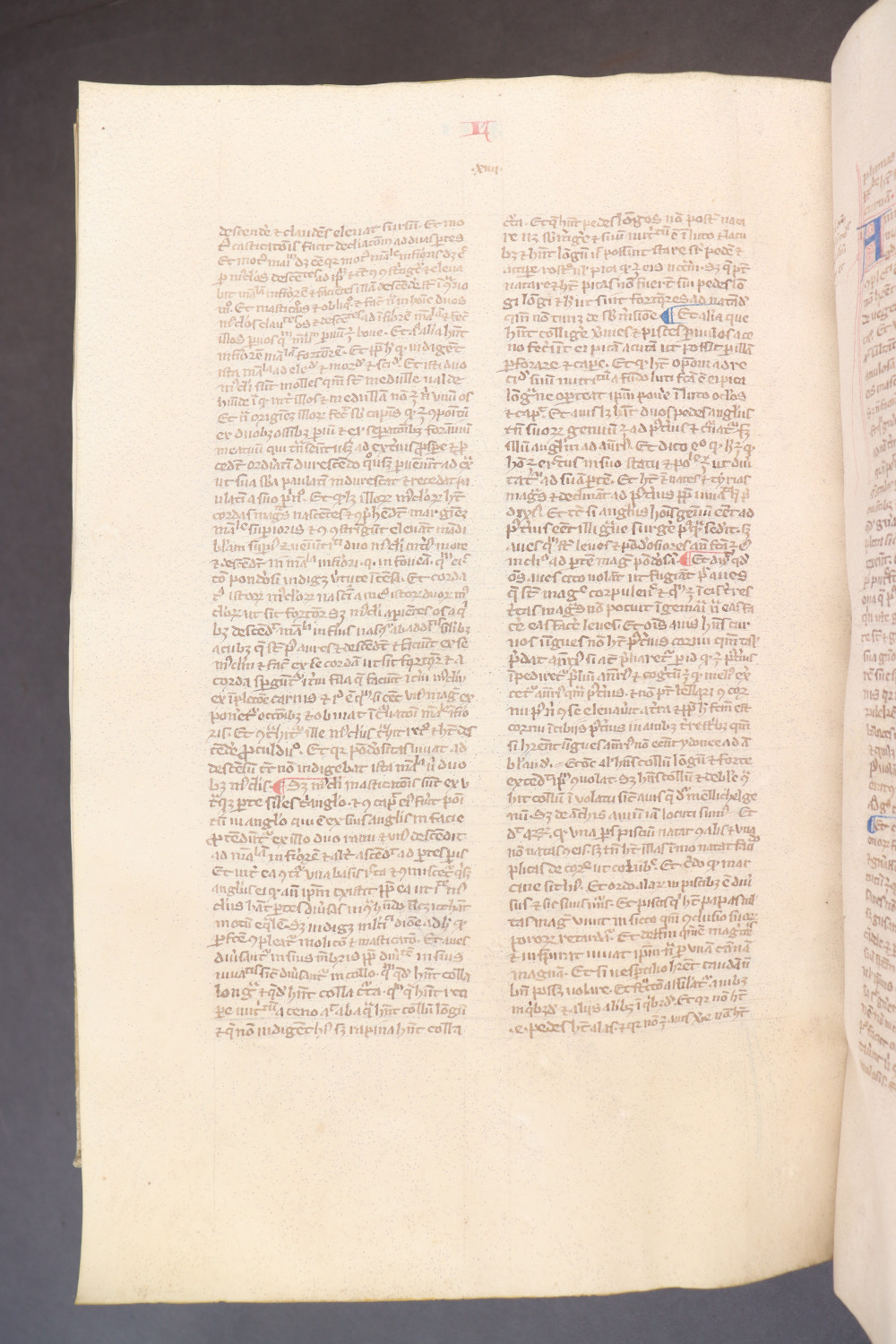 Folio 265 verso