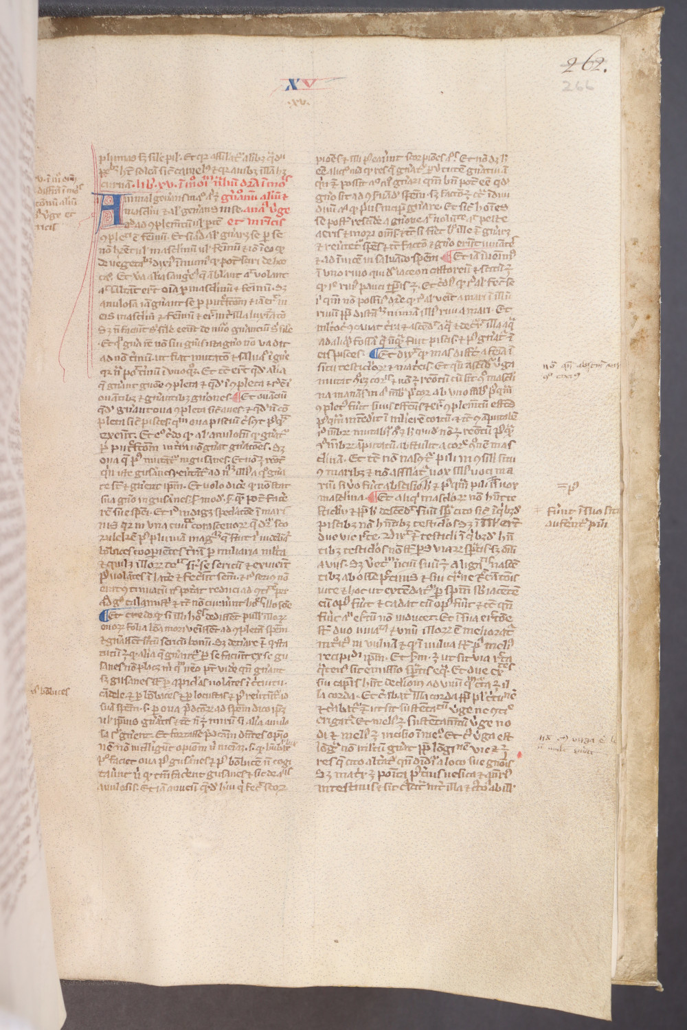 Folio 266 recto