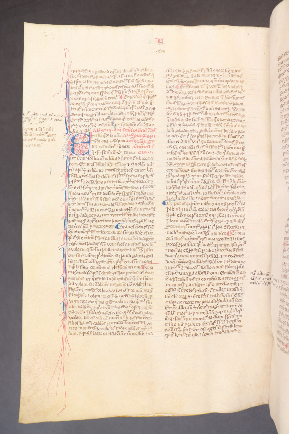 Folio 269 verso