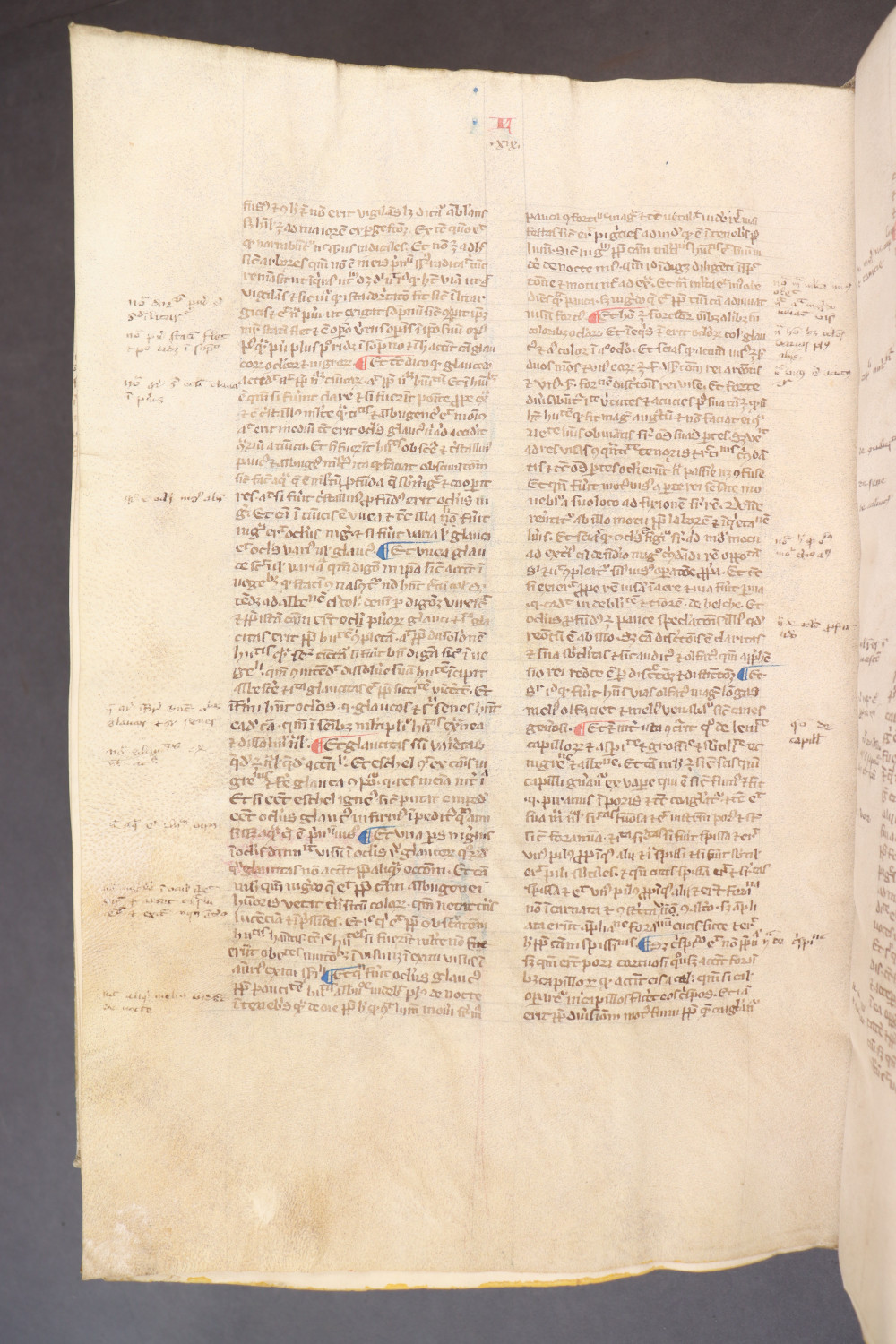 Folio 271 verso