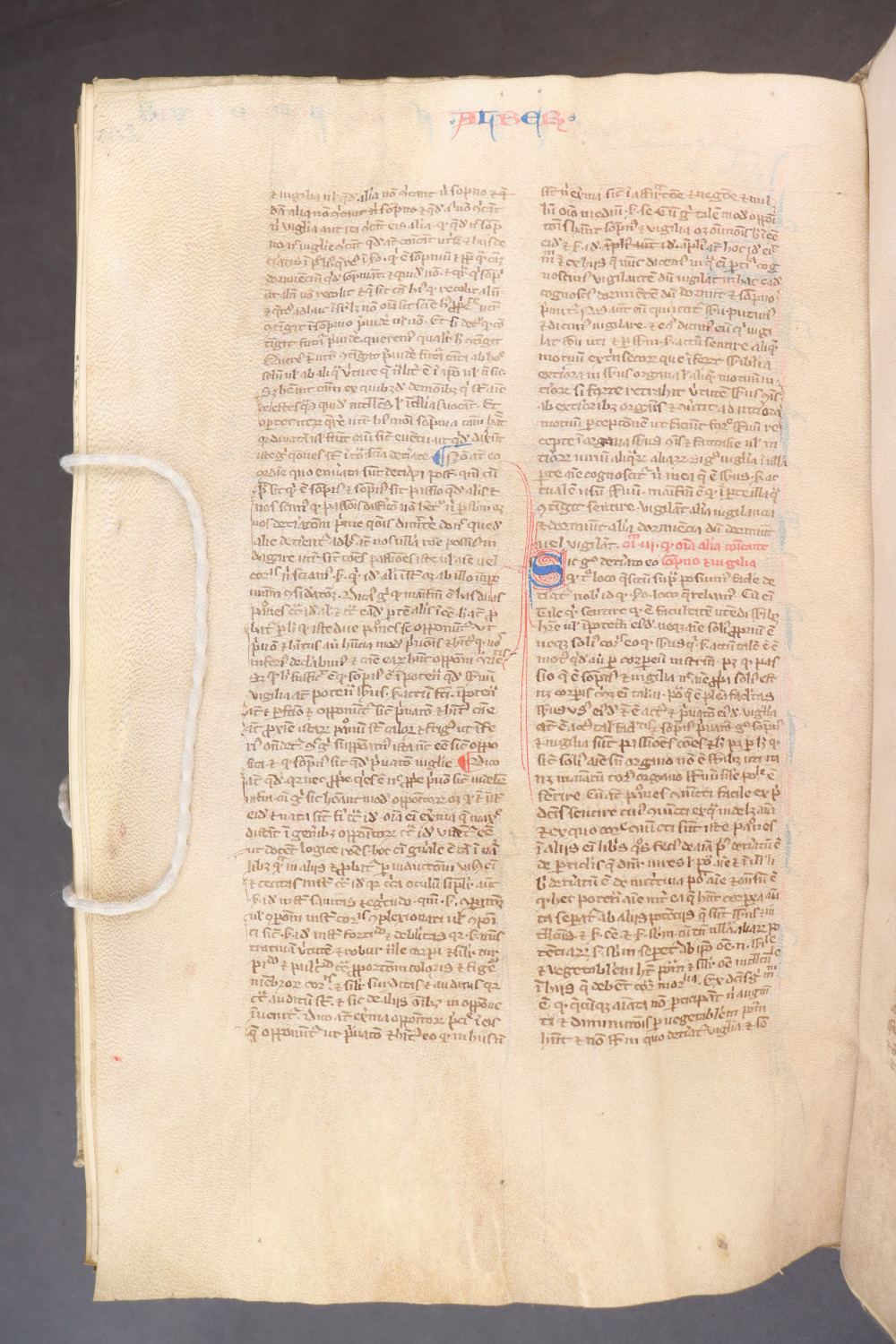 Folio 273 verso