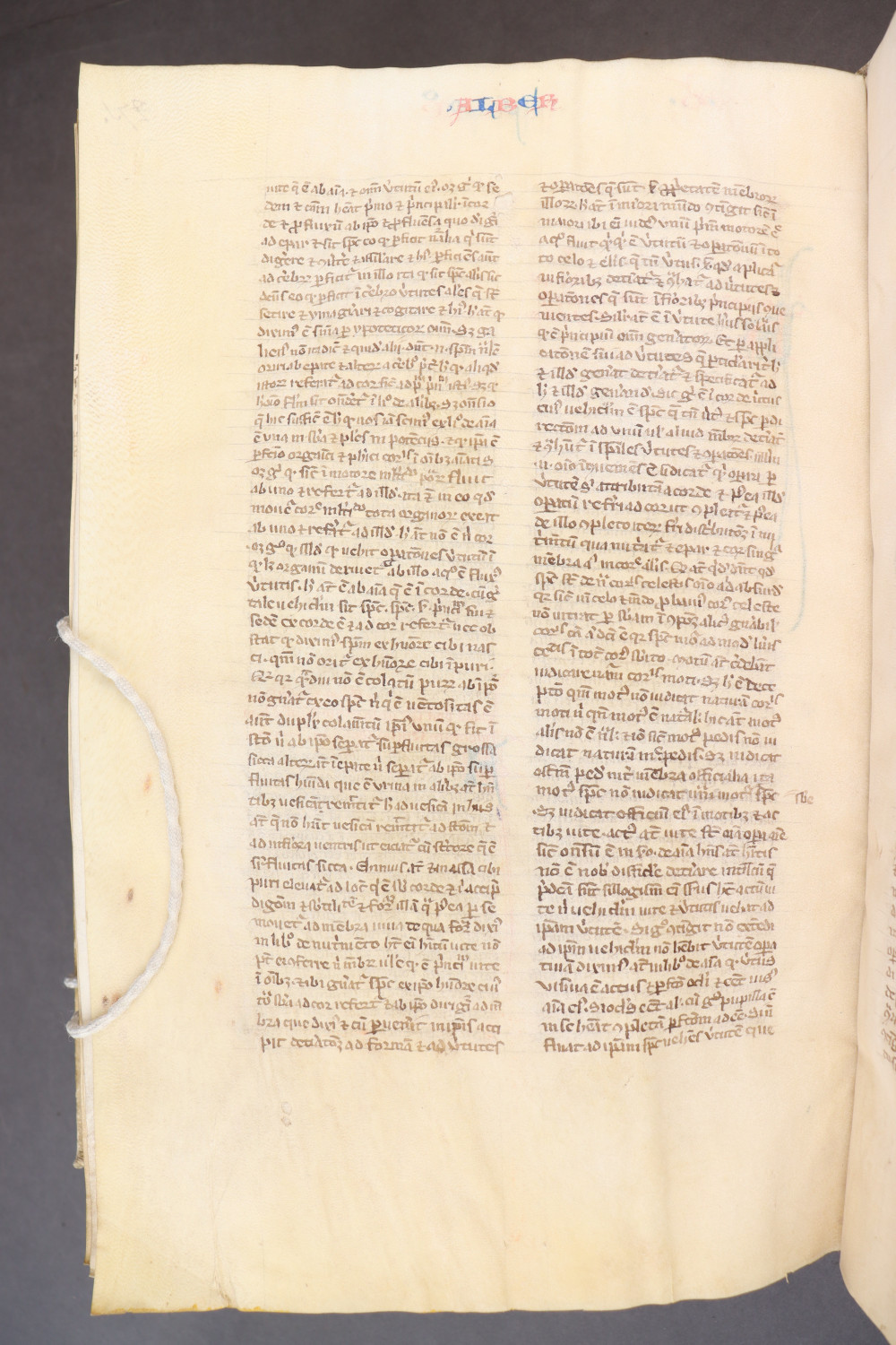 Folio 275 verso