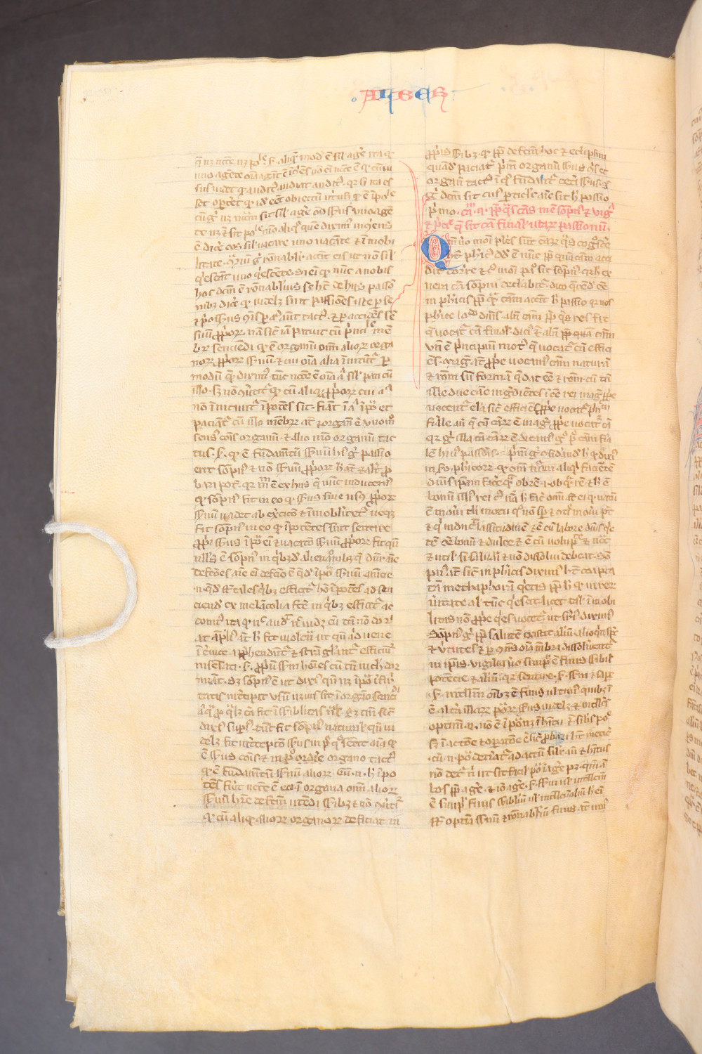 Folio 277 verso