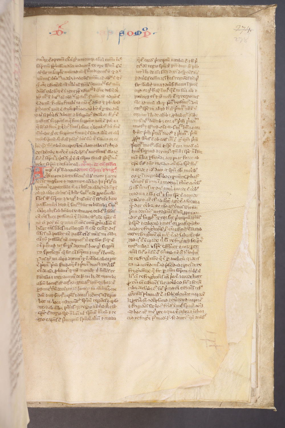 Folio 278 recto