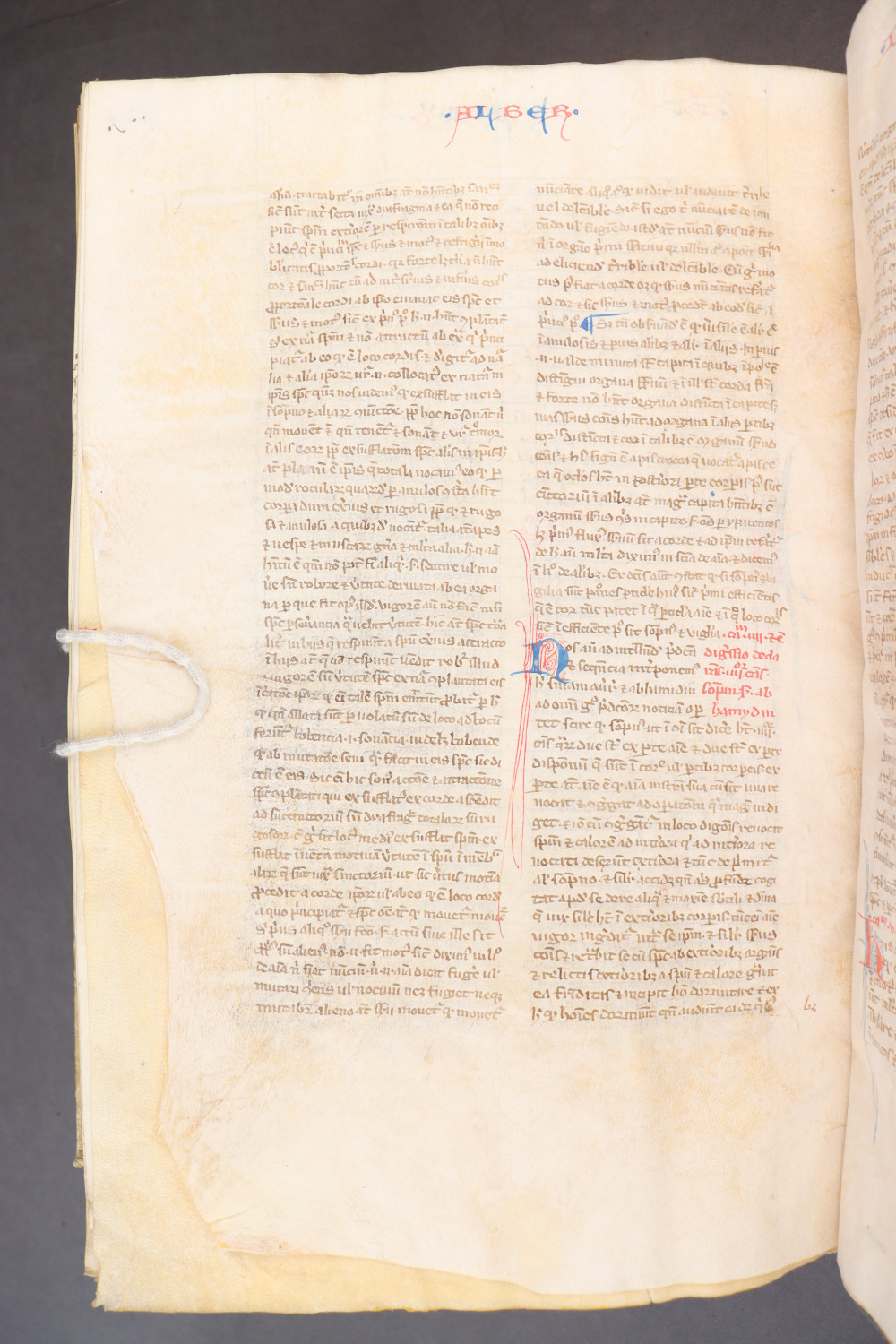 Folio 278 verso