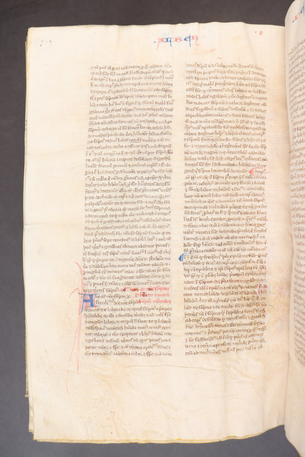 Folio 280 verso
