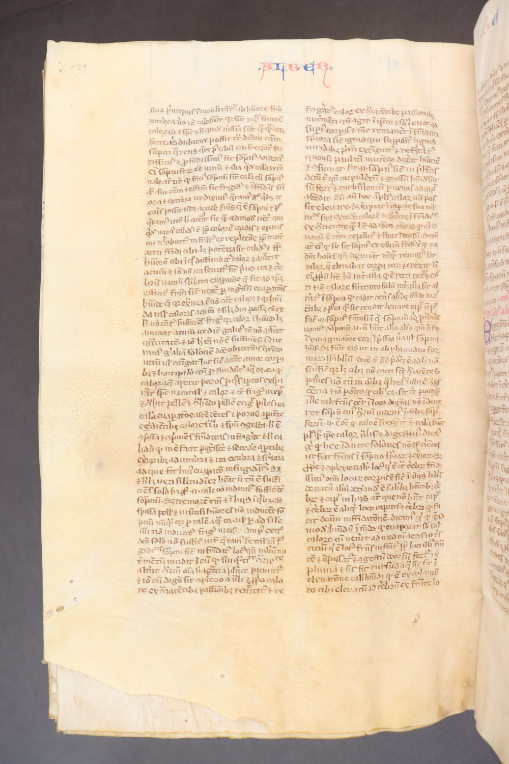 Folio 281 verso