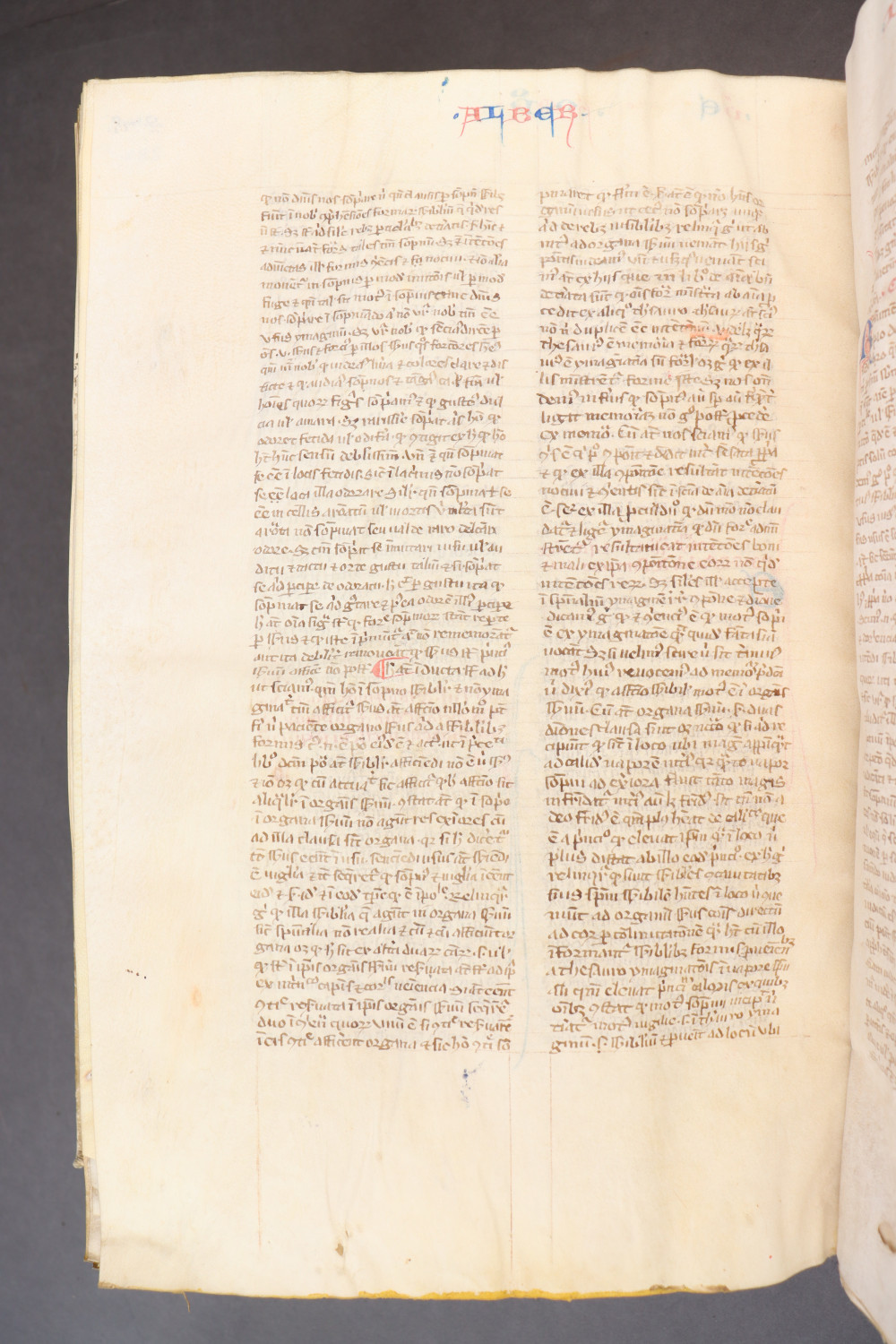 Folio 282 verso