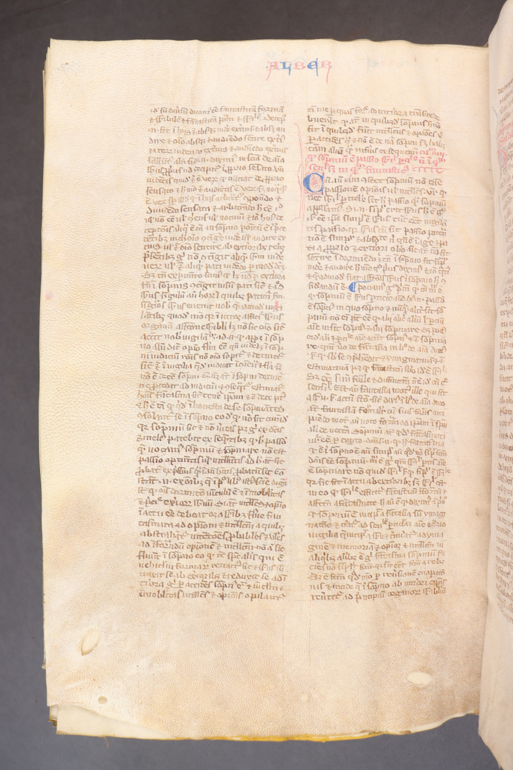 Folio 283 verso