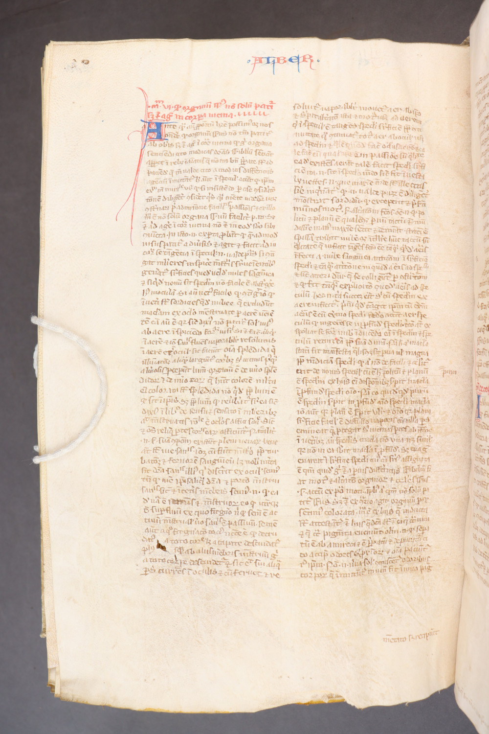 Folio 284 verso