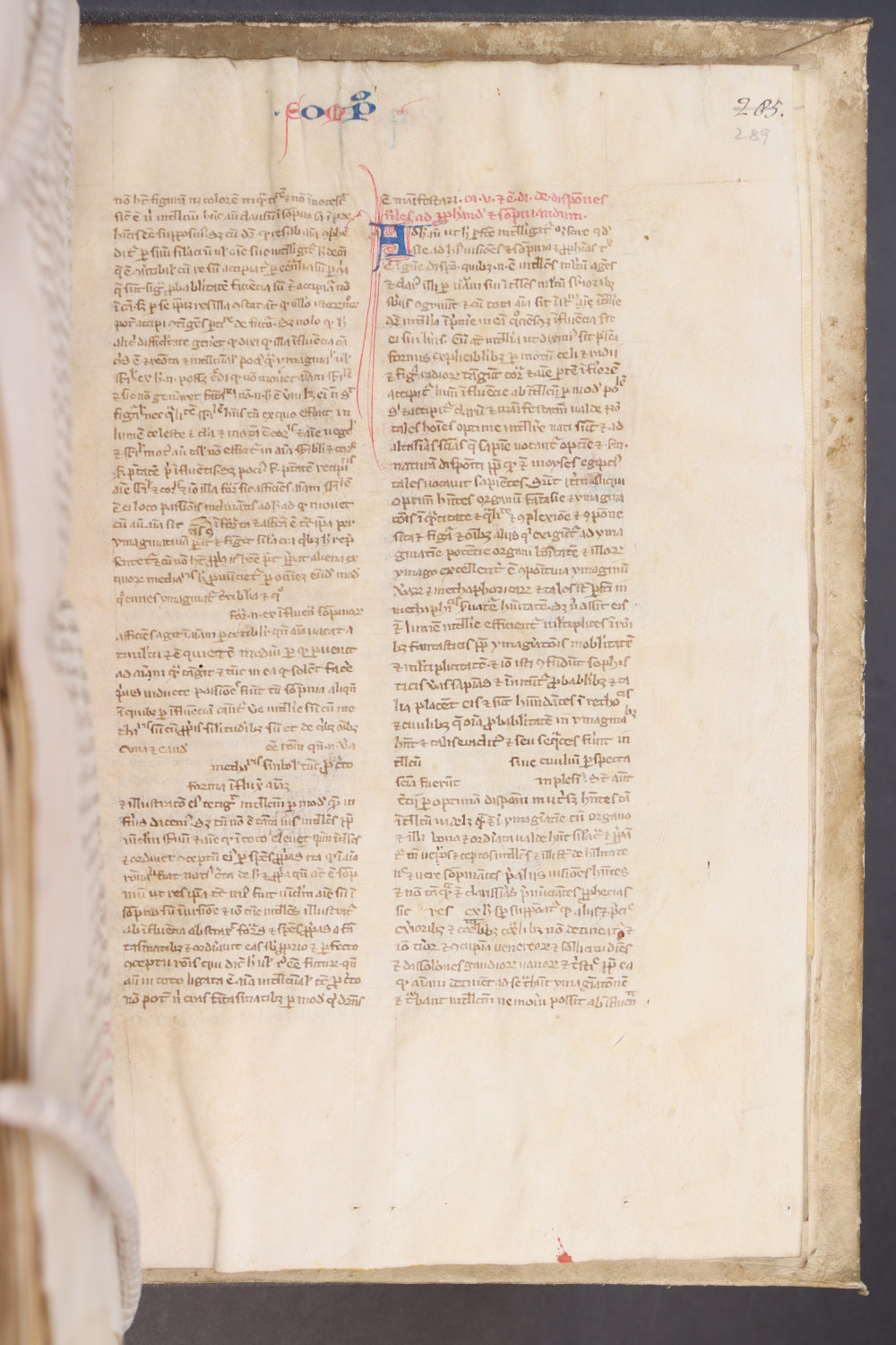 Folio 289 recto