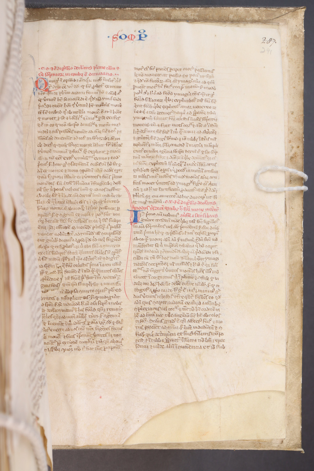 Folio 291 recto