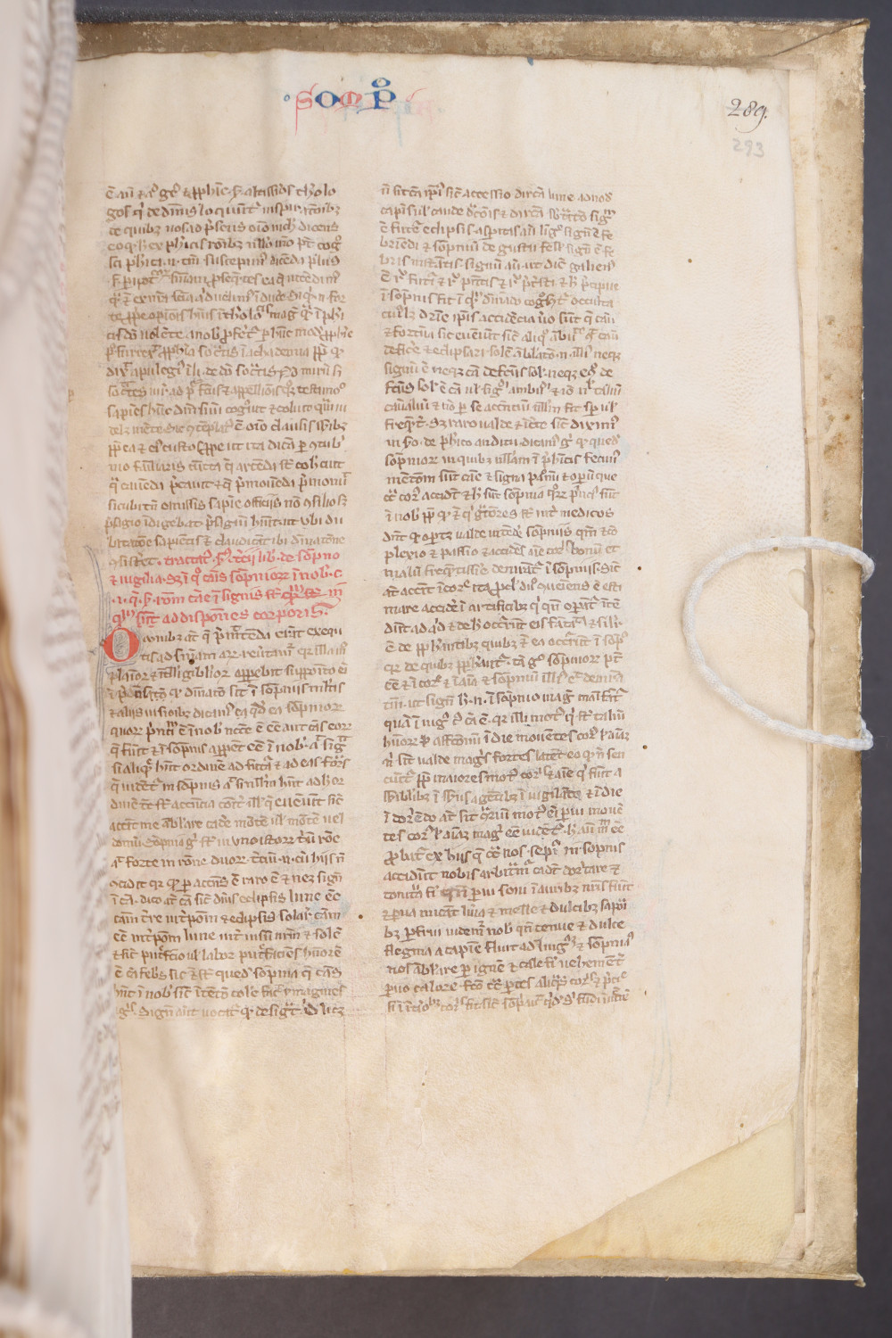 Folio 293 recto